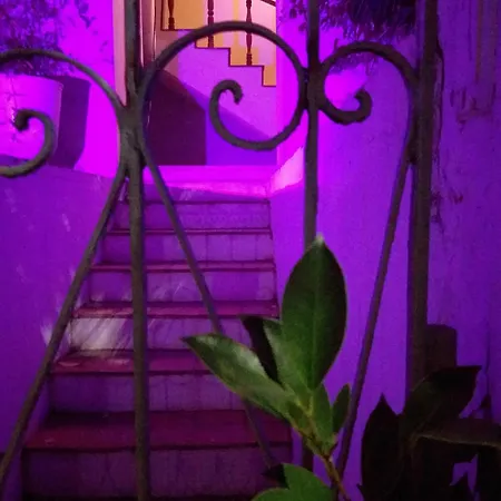 Erva Cidreira Guest House Barra Hostel Salvador Exterior photo