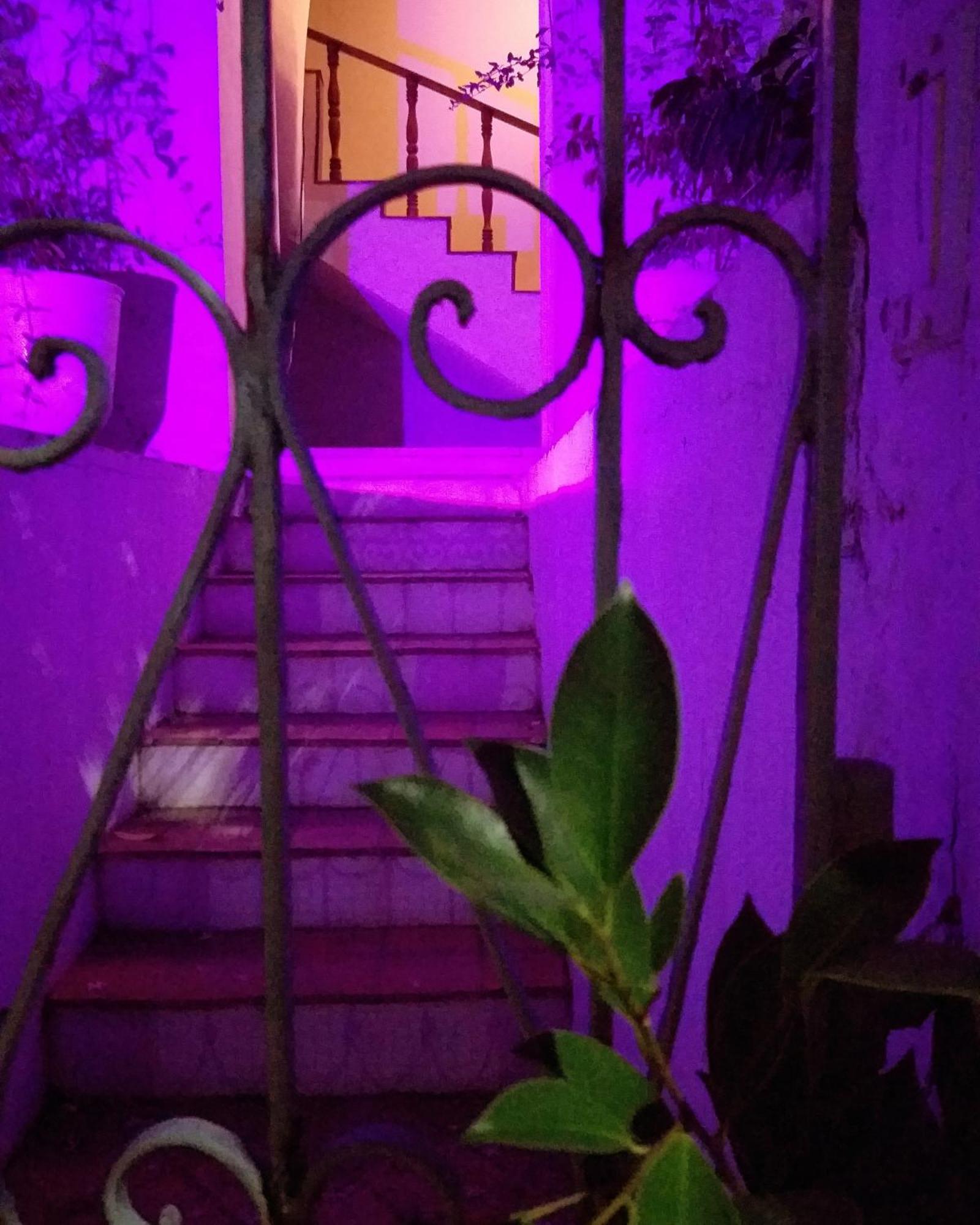 Erva Cidreira Barra Homestay Salvador